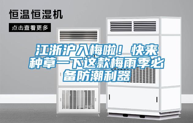 江浙滬入梅啦！快來(lái)種草一下這款梅雨季必備防潮利器