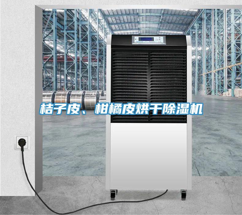 桔子皮、柑橘皮烘干除濕機(jī)