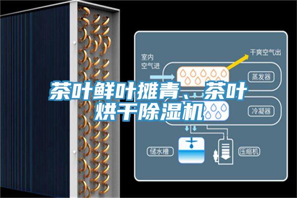 茶葉鮮葉攤青、茶葉烘干除濕機(jī)