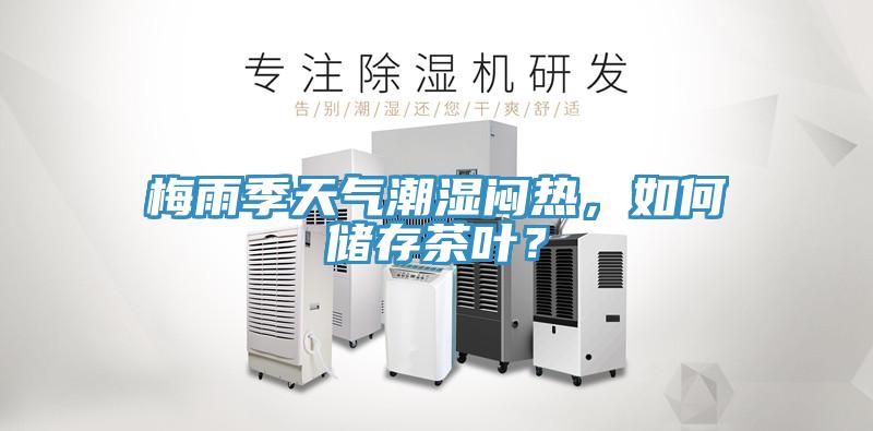 梅雨季天氣潮濕悶熱，如何儲存茶葉？