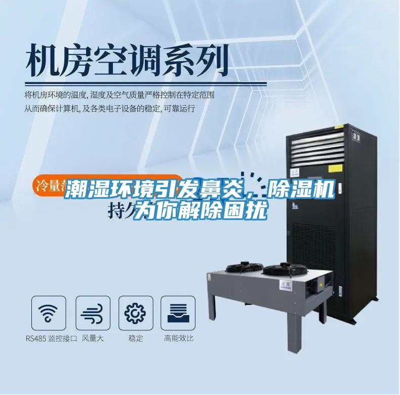 潮濕環(huán)境引發(fā)鼻炎，除濕機為你解除困擾