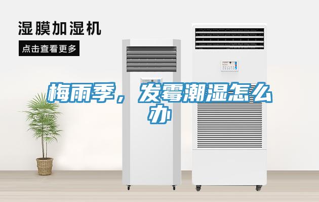 梅雨季，發(fā)霉潮濕怎么辦