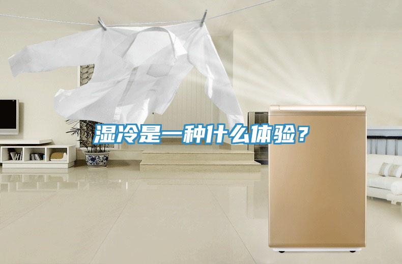 濕冷是一種什么體驗(yàn)？