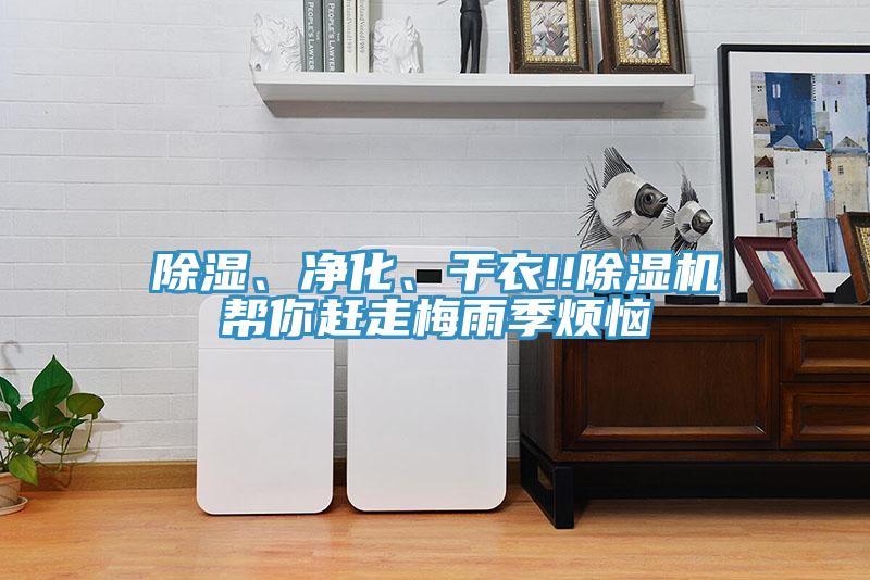 除濕、凈化、干衣!!除濕機(jī)幫你趕走梅雨季煩惱