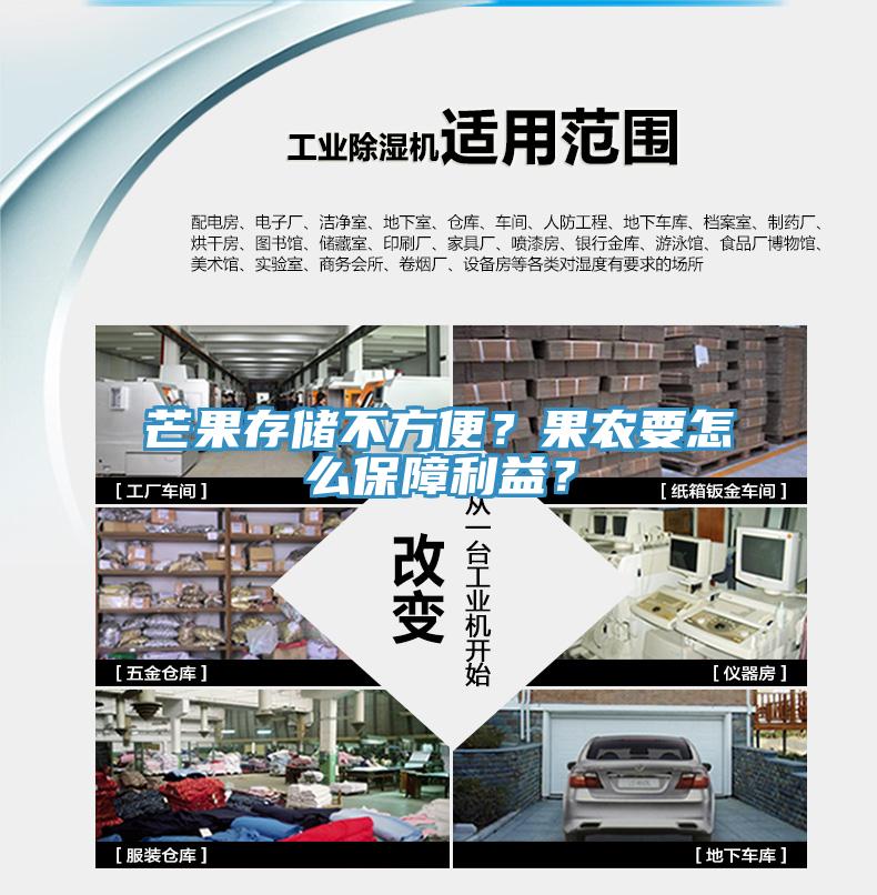 芒果存儲不方便？果農(nóng)要怎么保障利益？