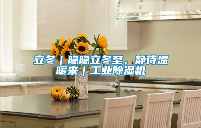 立冬｜隱隱立冬至，靜待溫暖來｜工業(yè)除濕機(jī)
