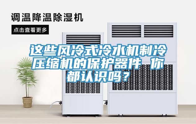 這些風(fēng)冷式冷水機(jī)制冷壓縮機(jī)的保護(hù)器件 你都認(rèn)識(shí)嗎？
