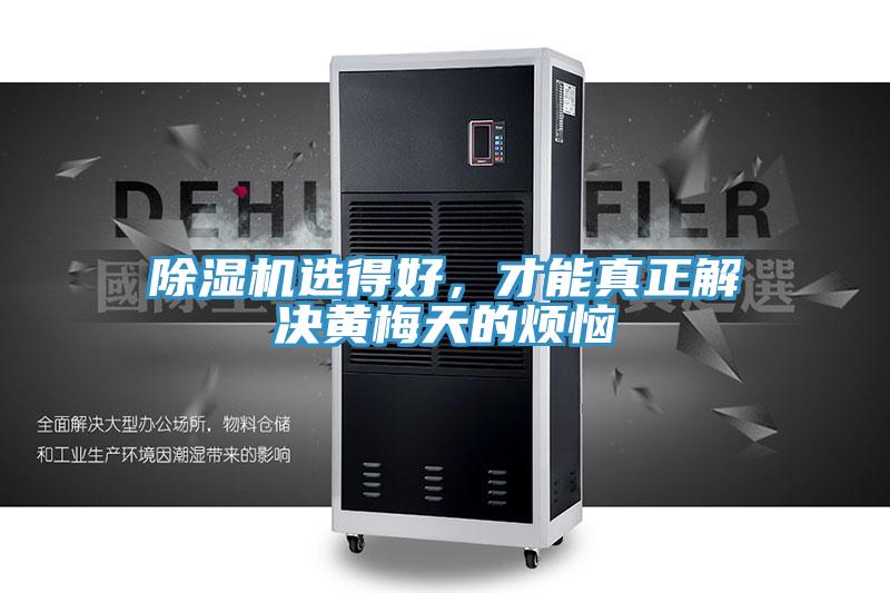 除濕機選得好，才能真正解決黃梅天的煩惱
