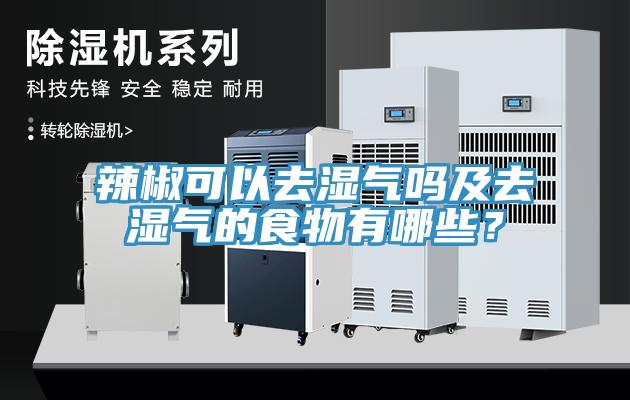 辣椒可以去濕氣嗎及去濕氣的食物有哪些？