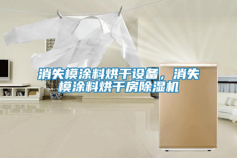消失模涂料烘干設(shè)備，消失模涂料烘干房除濕機(jī)