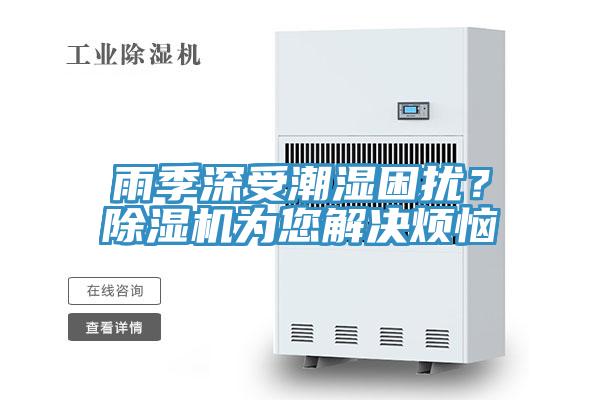 雨季深受潮濕困擾？除濕機(jī)為您解決煩惱