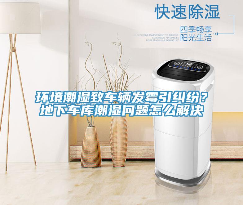 環(huán)境潮濕致車輛發(fā)霉引糾紛？地下車庫潮濕問題怎么解決