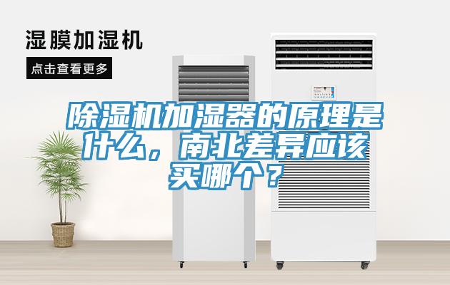 除濕機(jī)加濕器的原理是什么，南北差異應(yīng)該買哪個(gè)？