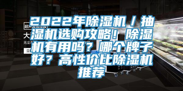 2022年除濕機(jī)／抽濕機(jī)選購(gòu)攻略！除濕機(jī)有用嗎？哪個(gè)牌子好？高性價(jià)比除濕機(jī)推薦