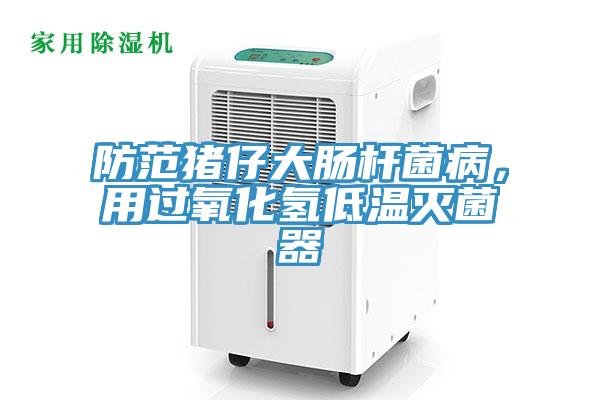 防范豬仔大腸桿菌病，用過氧化氫低溫滅菌器