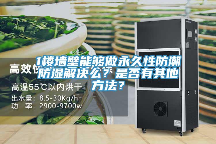 1樓墻壁能夠做永久性防潮防濕解決么？是否有其他方法？