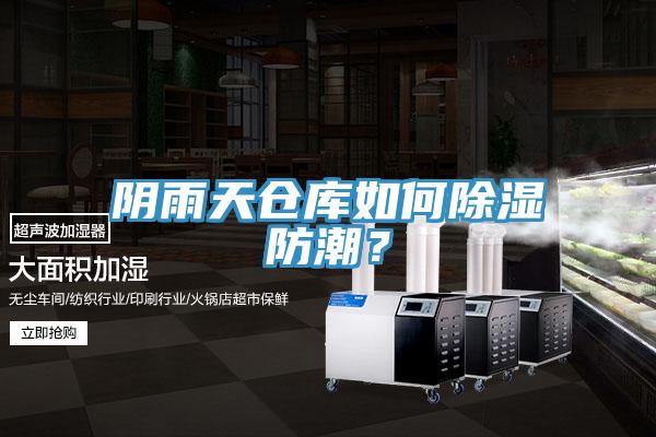 陰雨天倉(cāng)庫(kù)如何除濕防潮？
