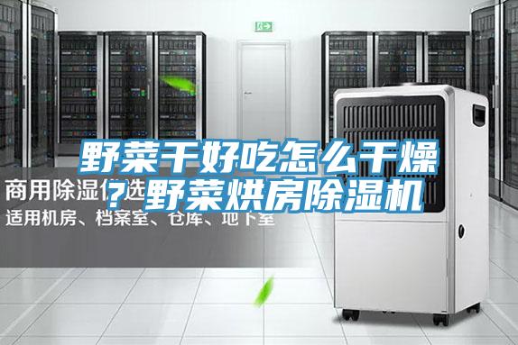 野菜干好吃怎么干燥？野菜烘房除濕機