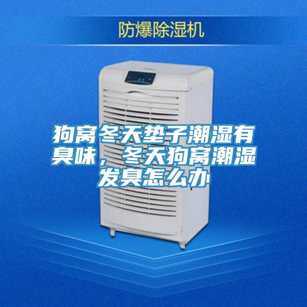 狗窩冬天墊子潮濕有臭味，冬天狗窩潮濕發(fā)臭怎么辦