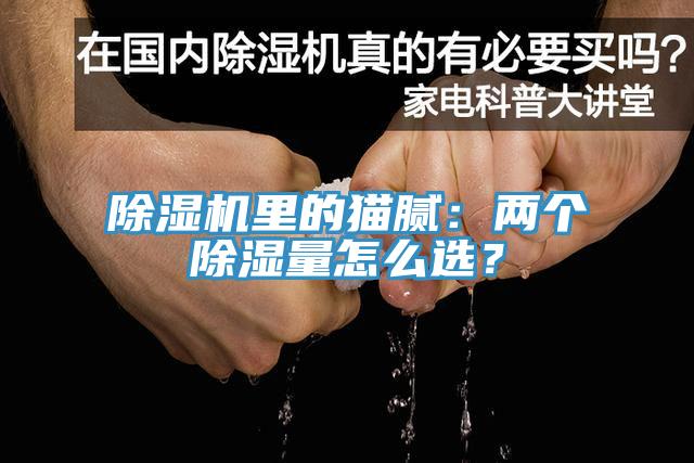 除濕機(jī)里的貓膩：兩個除濕量怎么選？