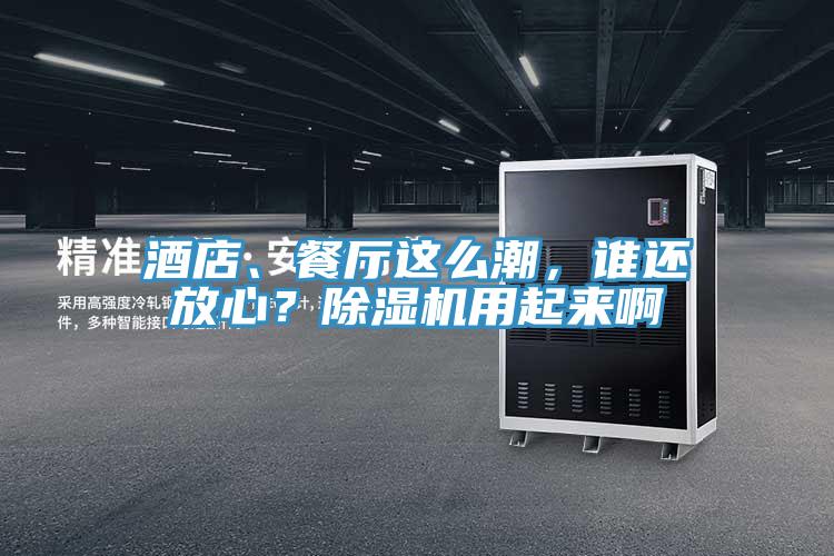 酒店、餐廳這么潮，誰(shuí)還放心？除濕機(jī)用起來啊