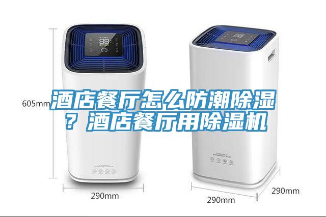 酒店餐廳怎么防潮除濕？酒店餐廳用除濕機