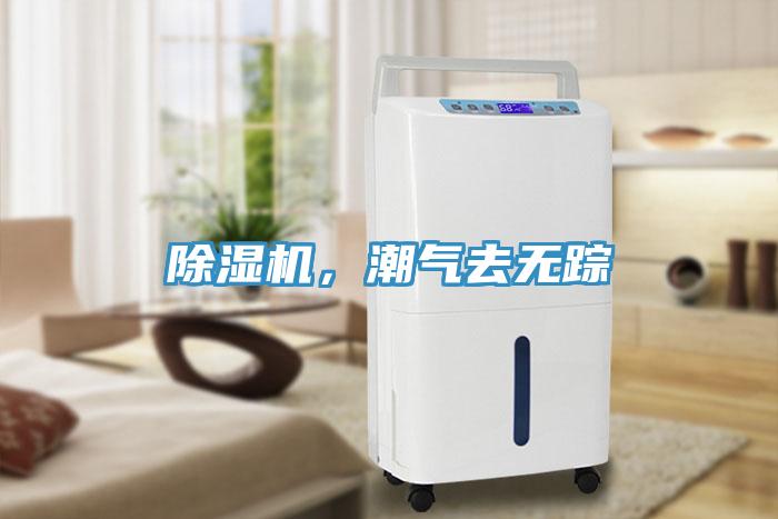 除濕機(jī)，潮氣去無(wú)蹤