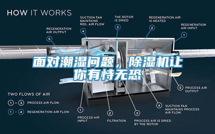面對潮濕問題，除濕機(jī)讓你有恃無恐