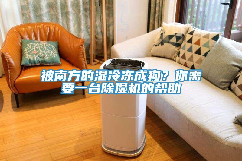 被南方的濕冷凍成狗？你需要一臺(tái)除濕機(jī)的幫助