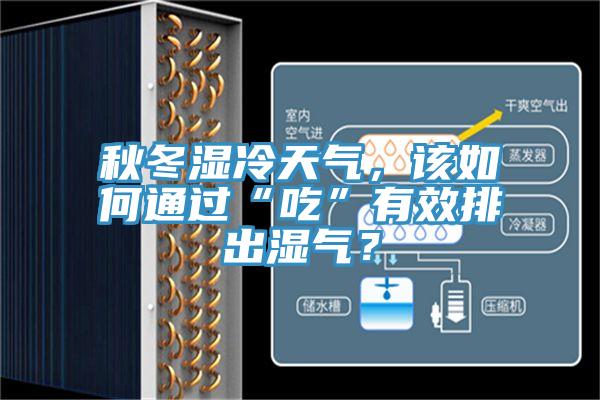 秋冬濕冷天氣，該如何通過“吃”有效排出濕氣？