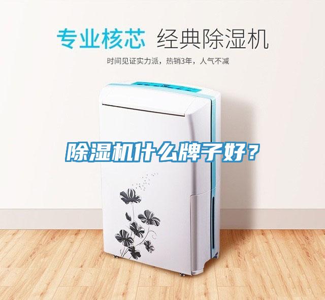 除濕機(jī)什么牌子好？