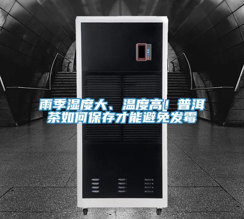 雨季濕度大、溫度高！普洱茶如何保存才能避免發(fā)霉