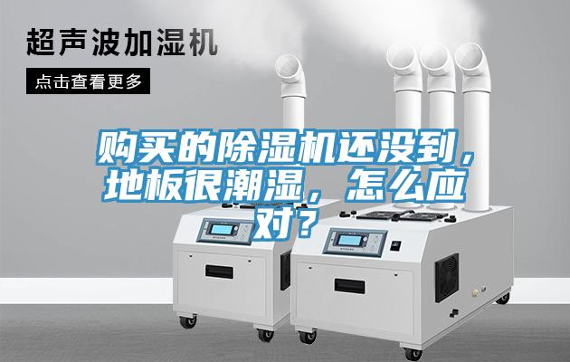 購買的除濕機還沒到，地板很潮濕，怎么應對？