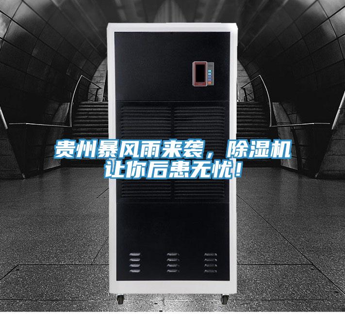 貴州暴風(fēng)雨來(lái)襲，除濕機(jī)讓你后患無(wú)憂！
