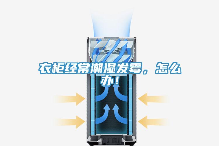 衣柜經(jīng)常潮濕發(fā)霉，怎么辦！