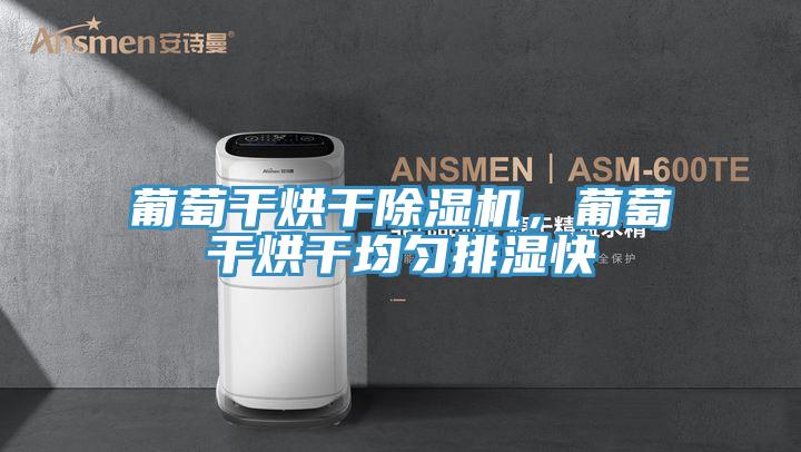 葡萄干烘干除濕機(jī)，葡萄干烘干均勻排濕快