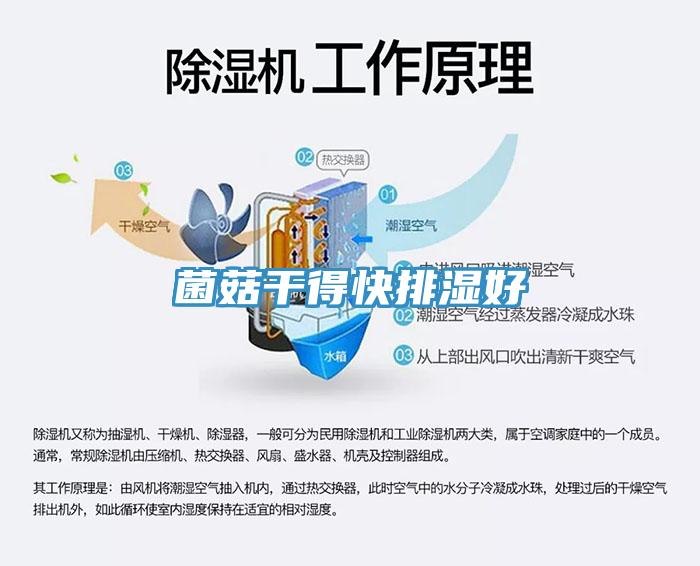 菌菇干得快排濕好