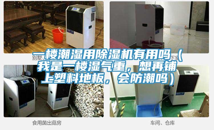 一樓潮濕用除濕機(jī)有用嗎（我是一樓濕氣重，想再鋪上塑料地板，會防潮嗎）