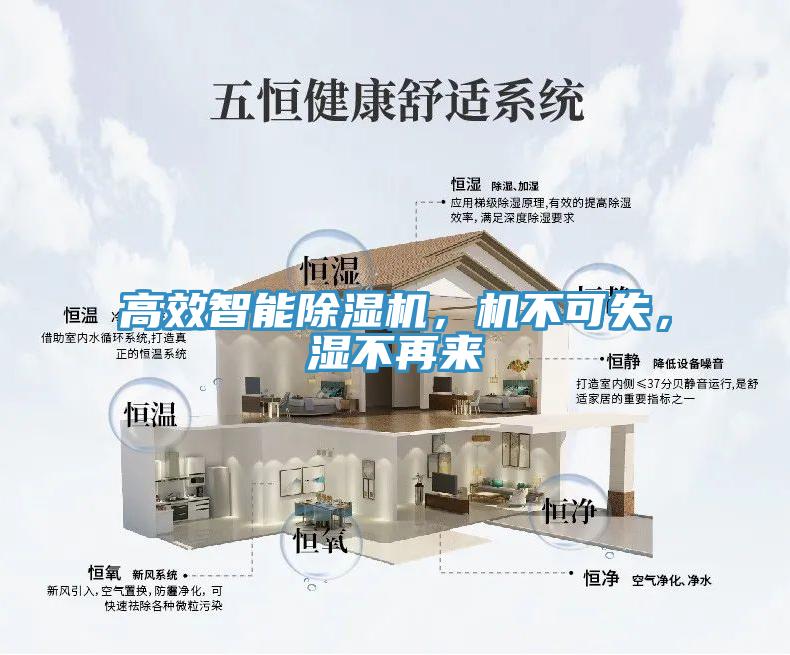 高效智能除濕機(jī)，機(jī)不可失，濕不再來