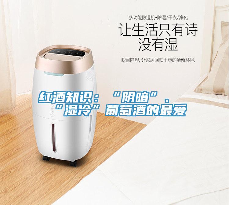 紅酒知識(shí)：“陰暗”、“濕冷”葡萄酒的最愛