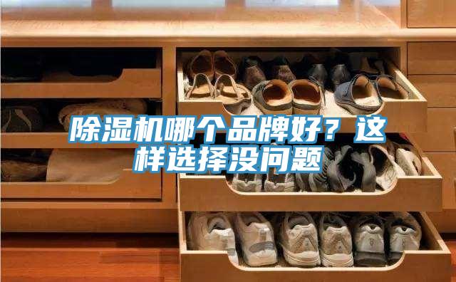 除濕機哪個品牌好？這樣選擇沒問題