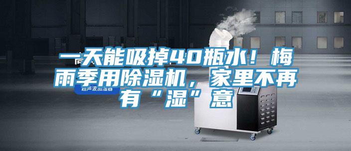 一天能吸掉40瓶水！梅雨季用除濕機(jī)，家里不再有“濕”意