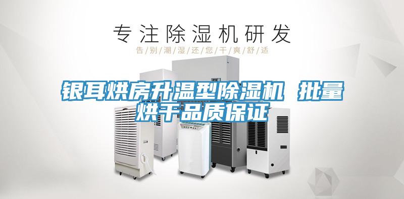 銀耳烘房升溫型除濕機 批量烘干品質保證