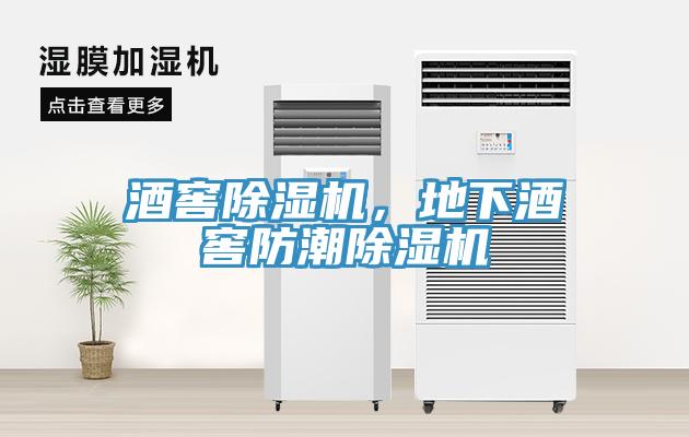 酒窖除濕機(jī)，地下酒窖防潮除濕機(jī)