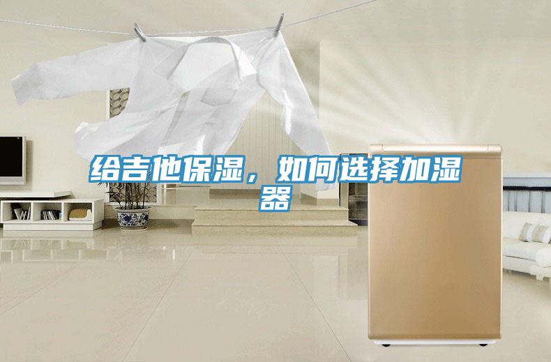 給吉他保濕，如何選擇加濕器