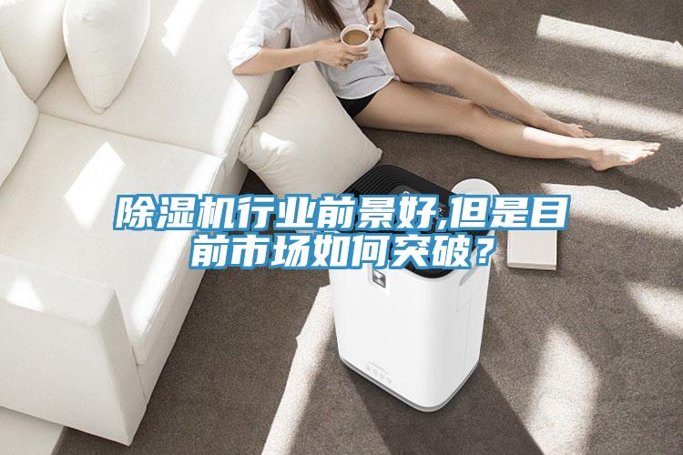 除濕機行業(yè)前景好,但是目前市場如何突破？