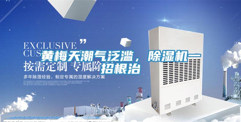 黃梅天潮氣泛濫，除濕機(jī)一招根治