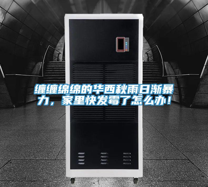 纏纏綿綿的華西秋雨日漸暴力，家里快發(fā)霉了怎么辦！