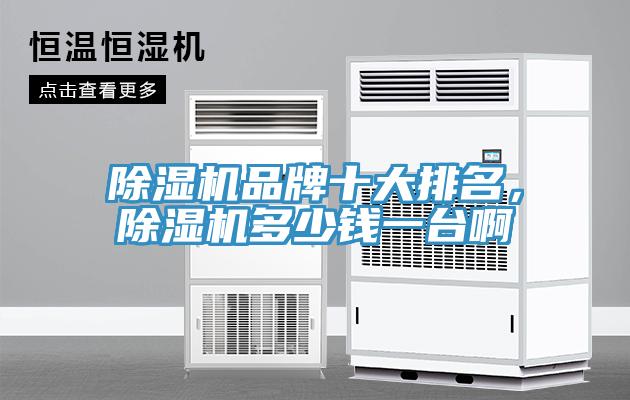除濕機(jī)品牌十大排名，除濕機(jī)多少錢一臺(tái)啊
