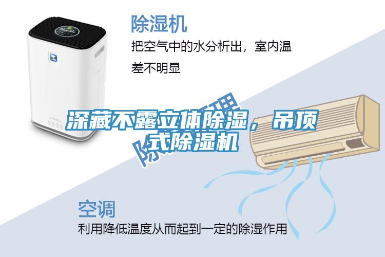 深藏不露立體除濕，吊頂式除濕機(jī)